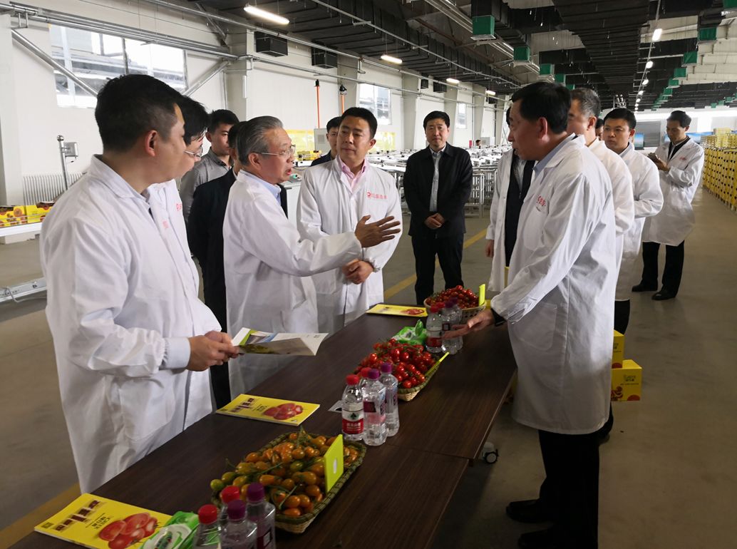 博天堂(918.com)官网-918博天堂,让你更杰出