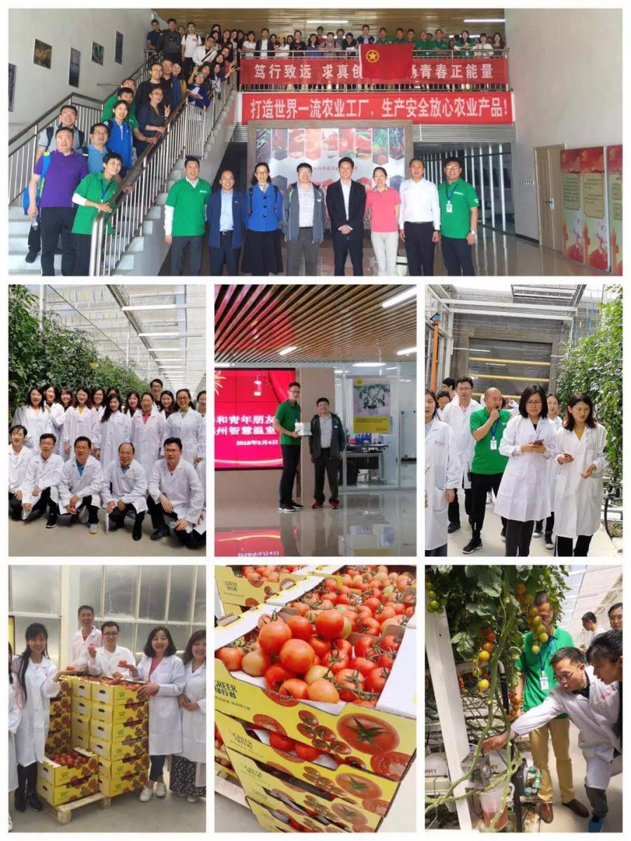 博天堂(918.com)官网-918博天堂,让你更杰出