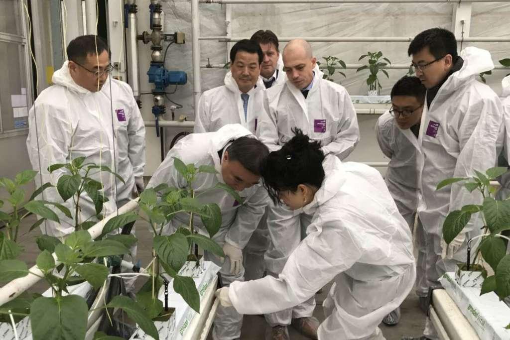 博天堂(918.com)官网-918博天堂,让你更杰出