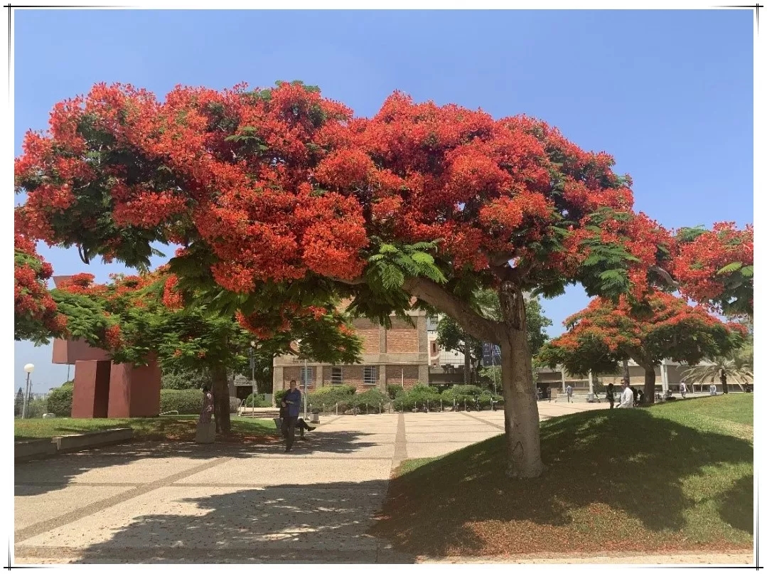 博天堂(918.com)官网-918博天堂,让你更杰出