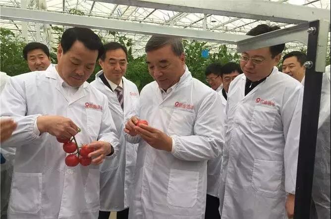 博天堂(918.com)官网-918博天堂,让你更杰出