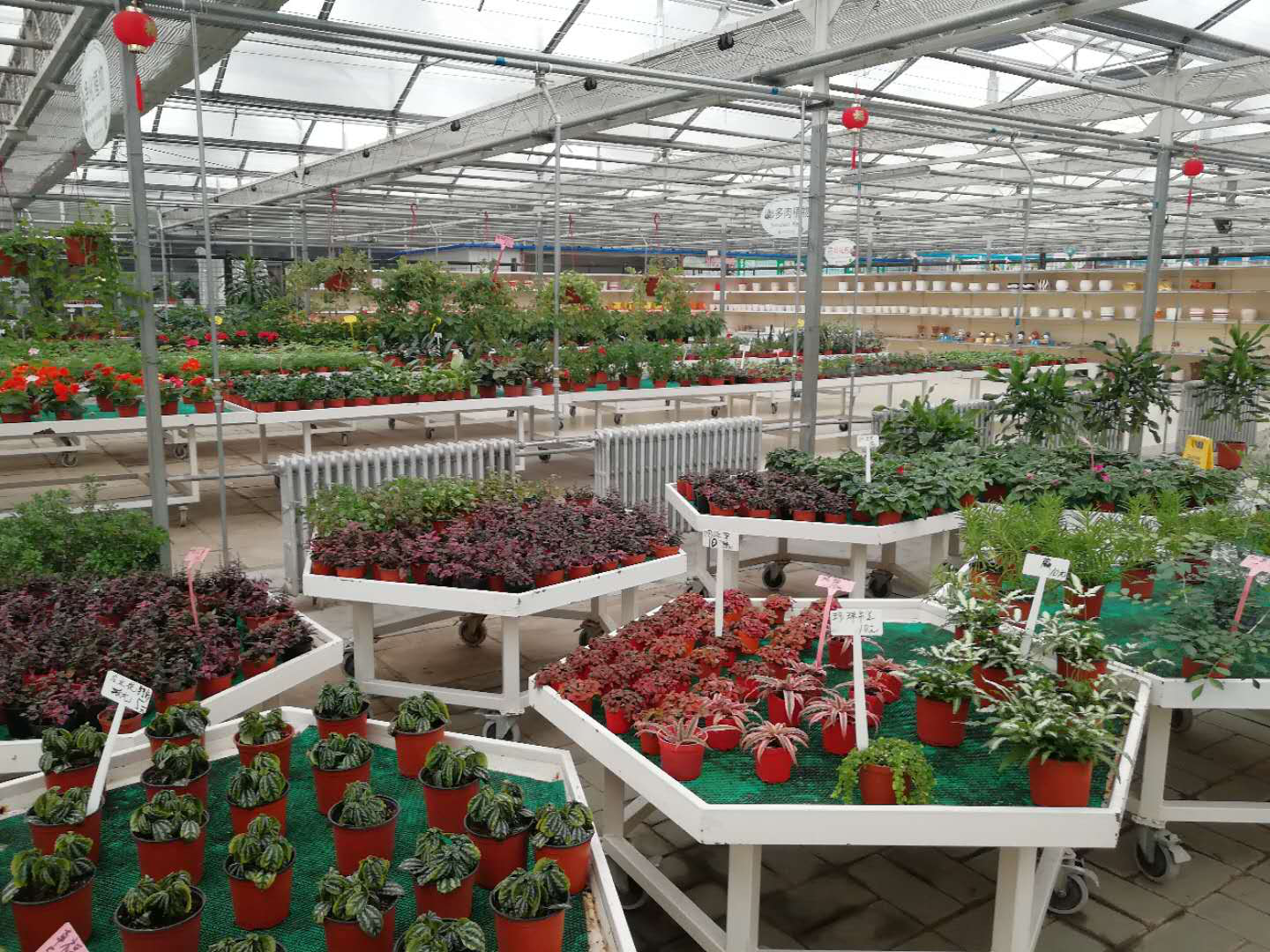 博天堂(918.com)官网-918博天堂,让你更杰出