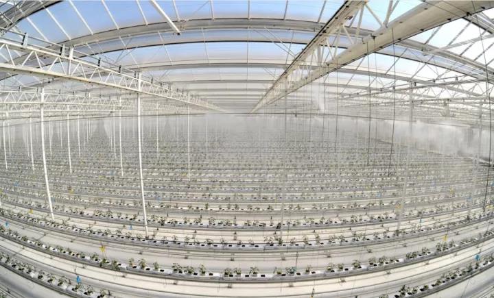 博天堂(918.com)官网-918博天堂,让你更杰出