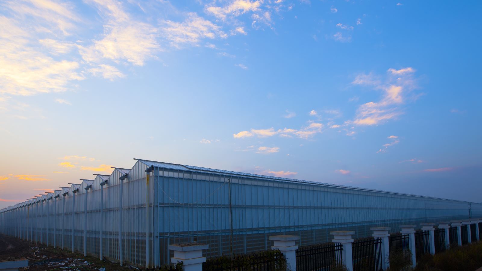 博天堂(918.com)官网-918博天堂,让你更杰出