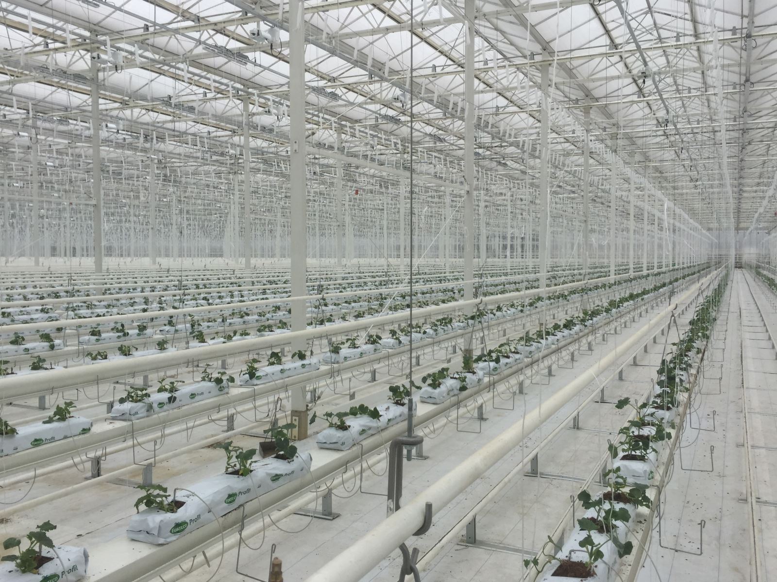 博天堂(918.com)官网-918博天堂,让你更杰出