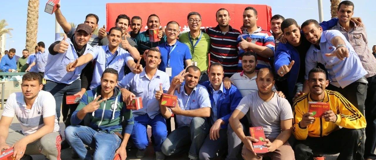 “善用资源日”境表预热 | 巨石埃及公司“云盛开” ，带你看“一带一路”璀璨明珠