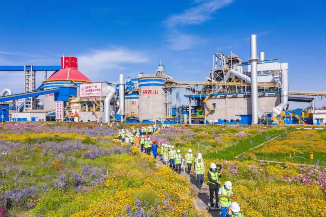 走进“善用资源日”盛开企业，来博天堂网站花海工厂打卡吧！