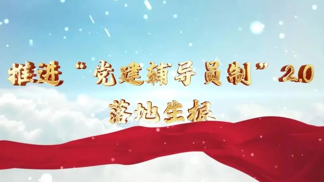  党建经营融合十佳案例④ | 西南水泥——“领导员造”+“进建型组织”，让党建成为看得见的“出产力” 