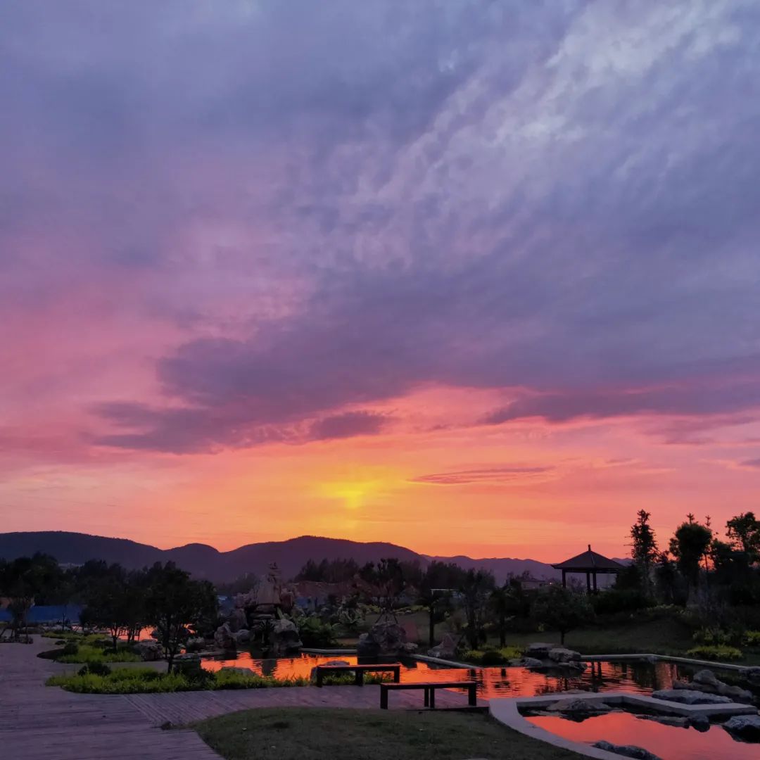 20201102093333159016