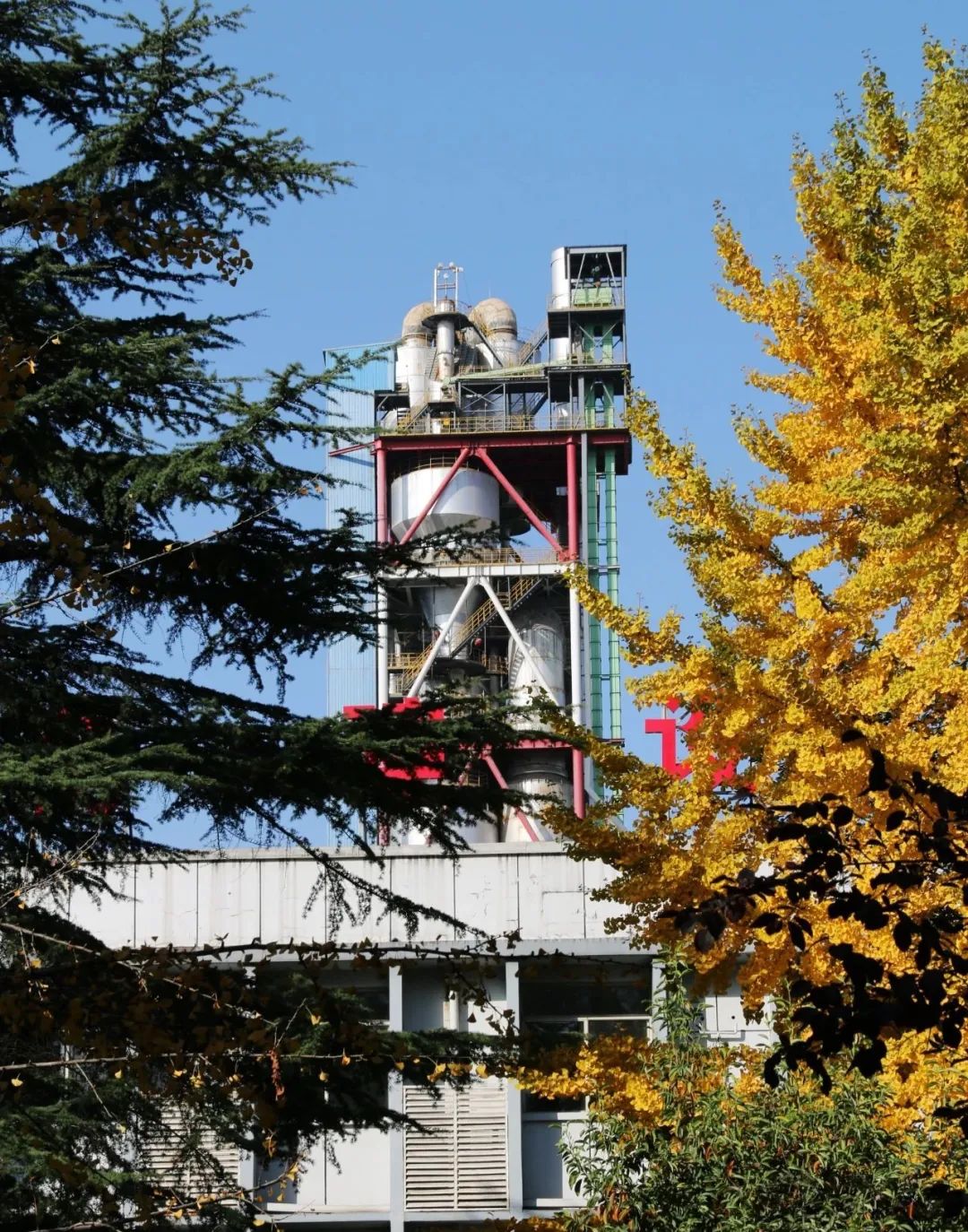 20201109094139639821