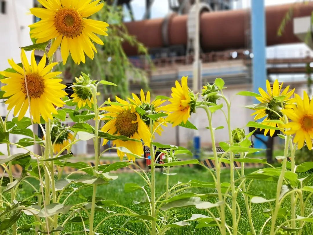 20201109094139873825