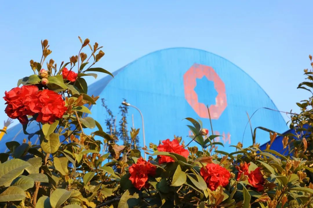 20210406105823447543