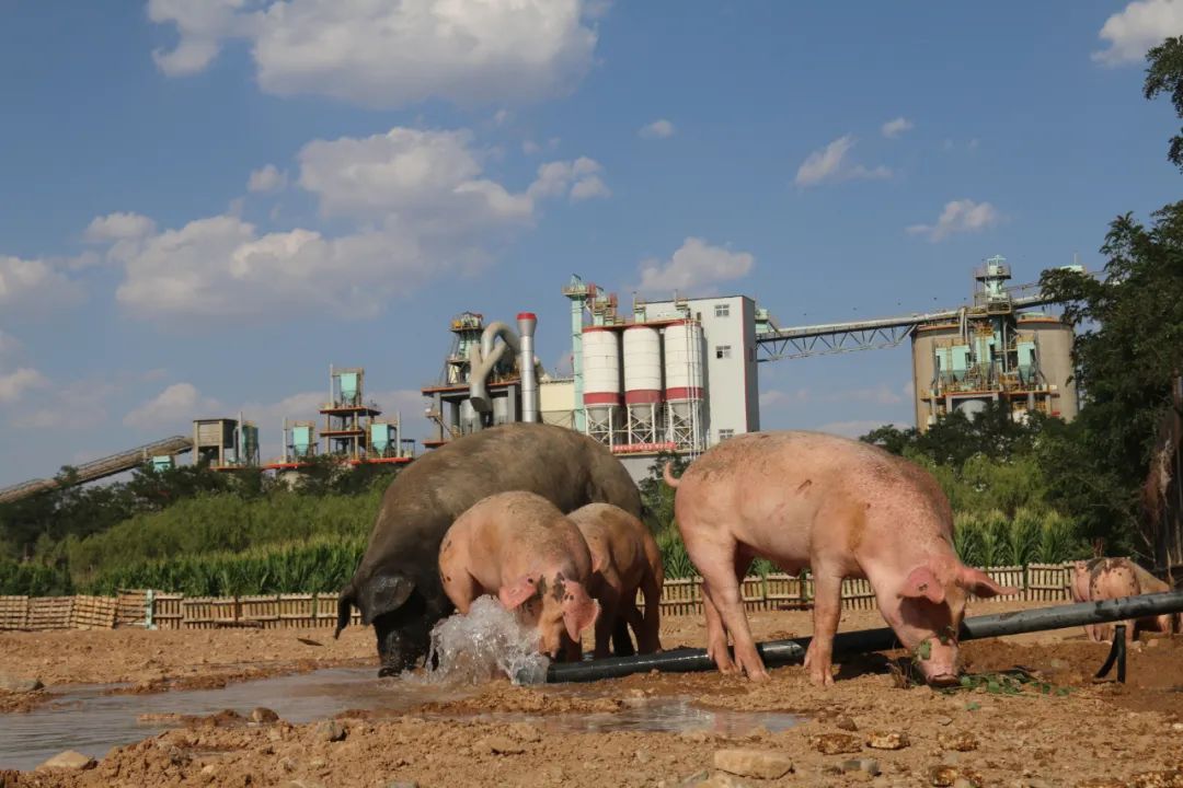 20210729114009280714