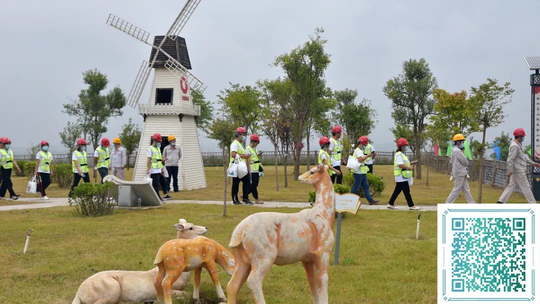 20211003125625575529