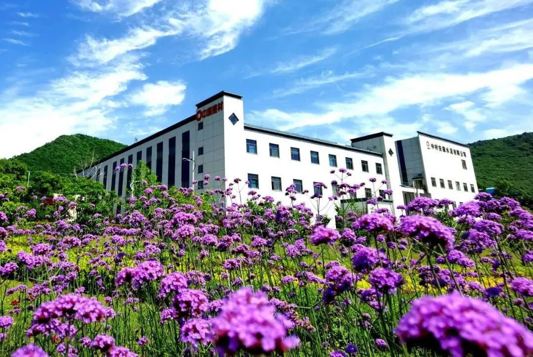 20220105115030535023