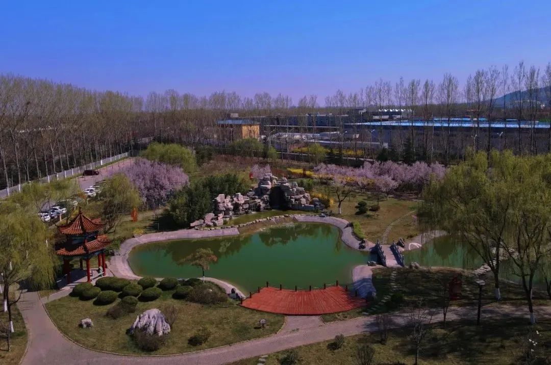 20220406161200994614