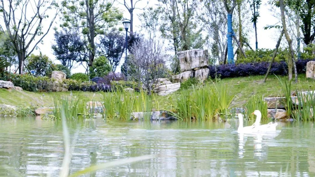 20220511094442345813