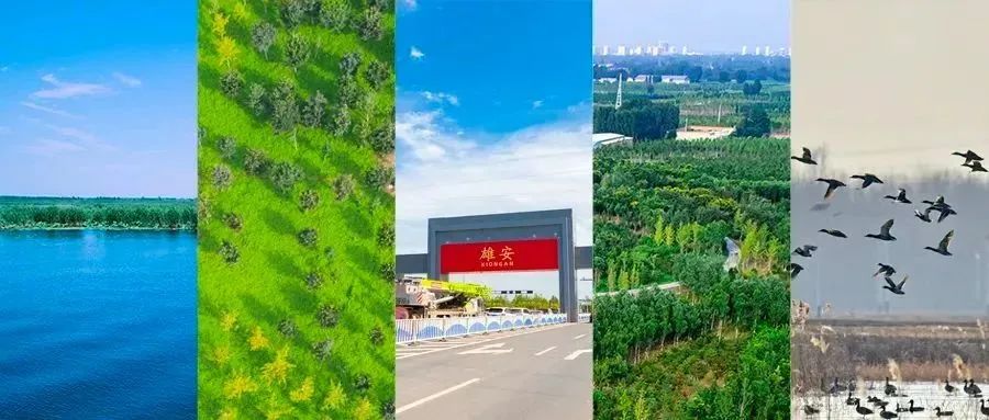 20220624201335646220