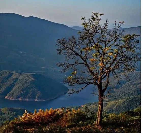 20230130102754505419