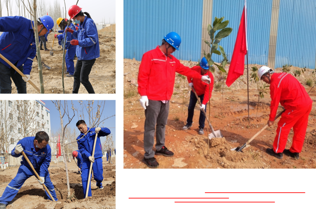 20230310110632317932