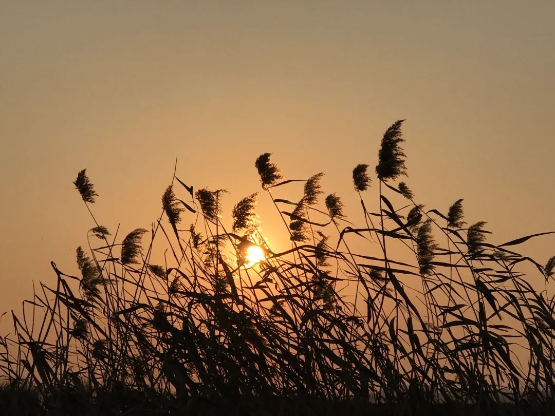 20230504114221563328