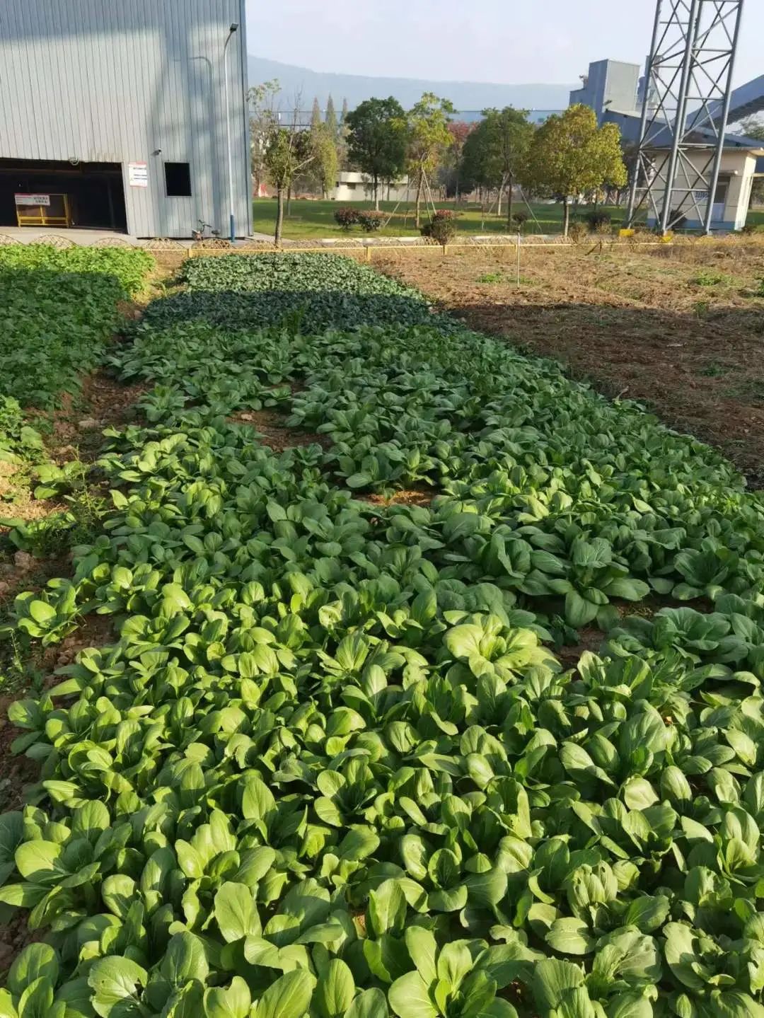 20230707172910669214