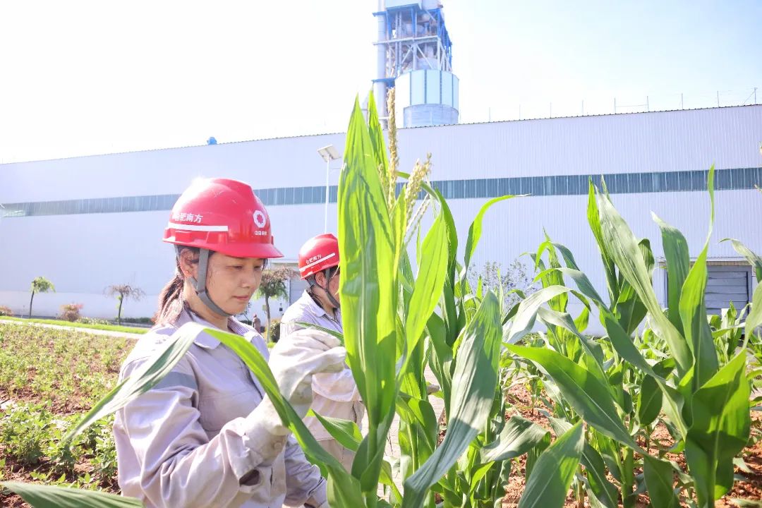 20230707172911356017