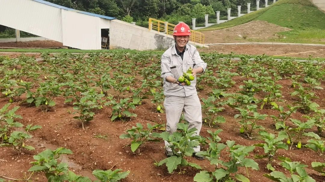 20230707172911973320