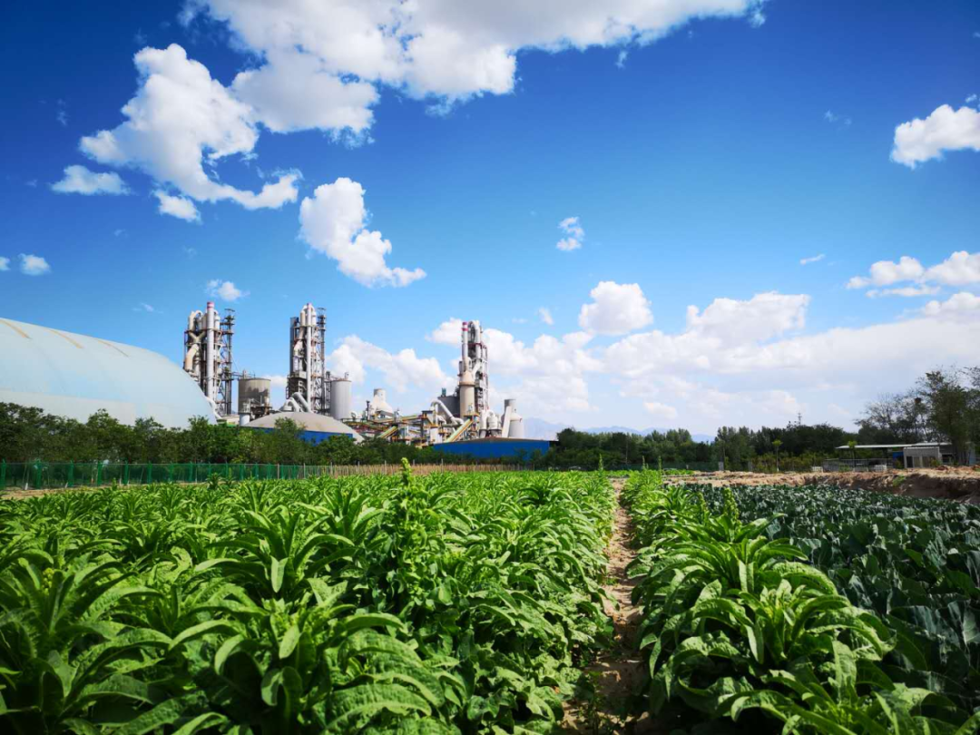 20230821094346967315