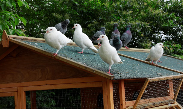 20230821094354866845