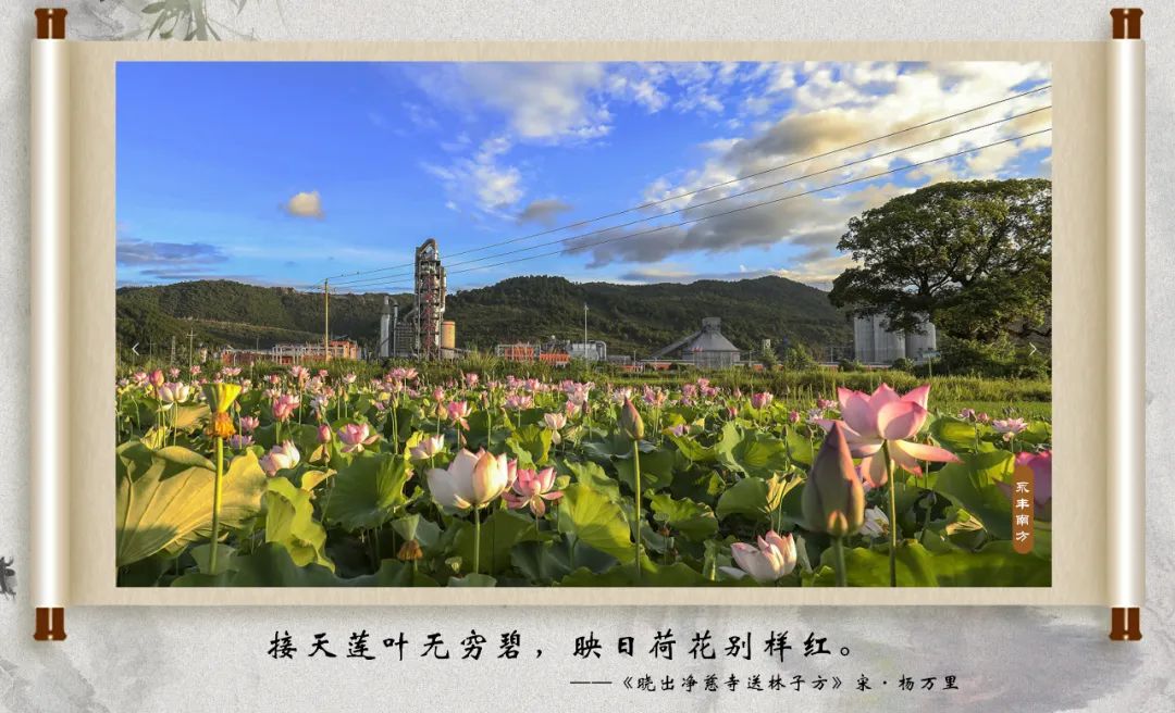 20231007095009288513