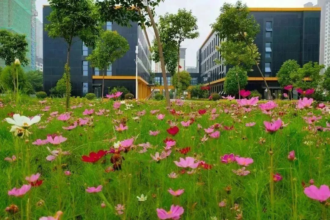 20231007102704686623