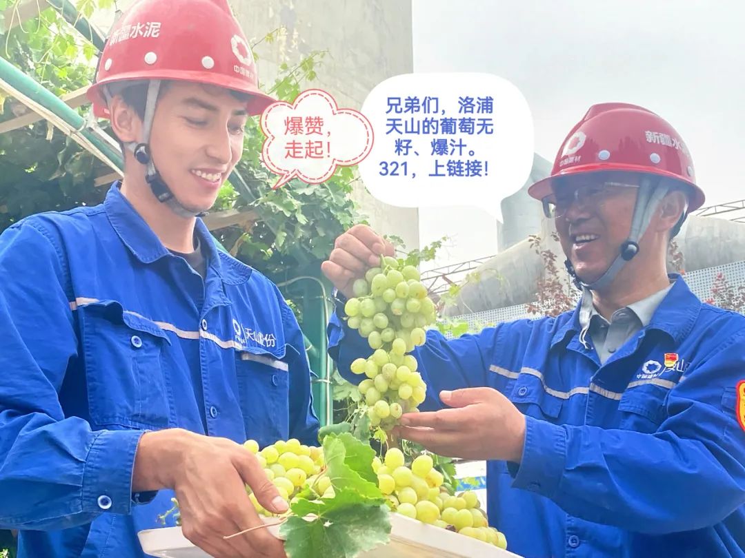 20241028114352045311