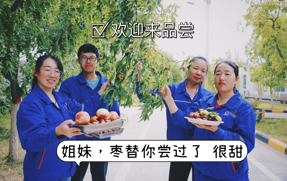 20241028114352256716