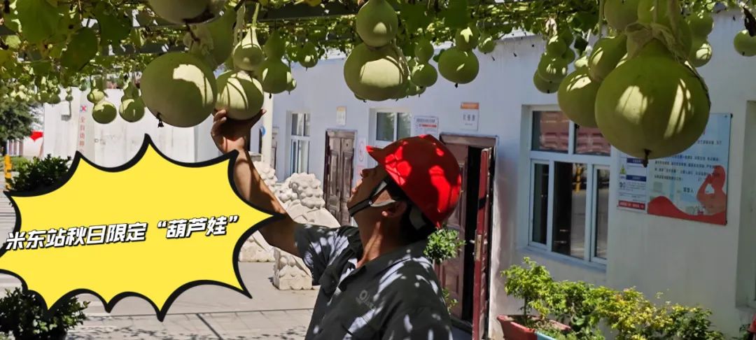 20241028114352956233