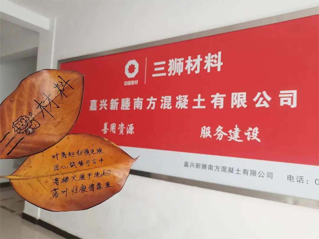 20241118161350874122