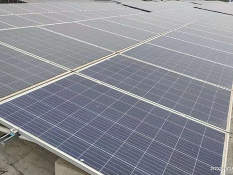 20241209113649524018