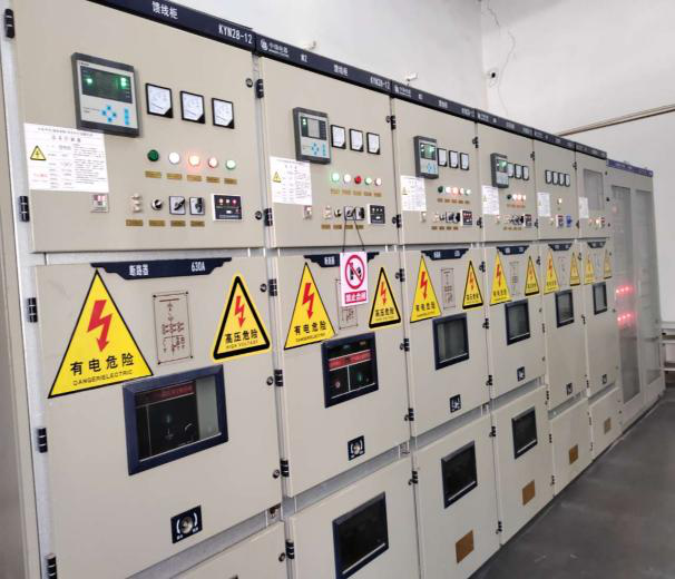 20241230100016066919