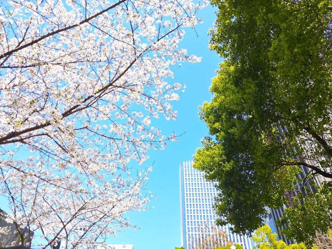 20250407094959738023