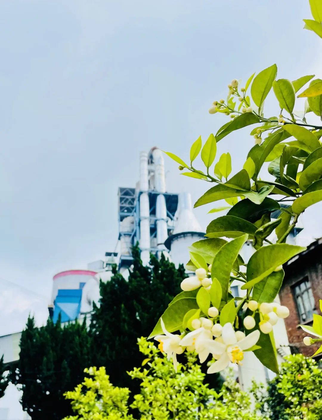 20250414093526343710