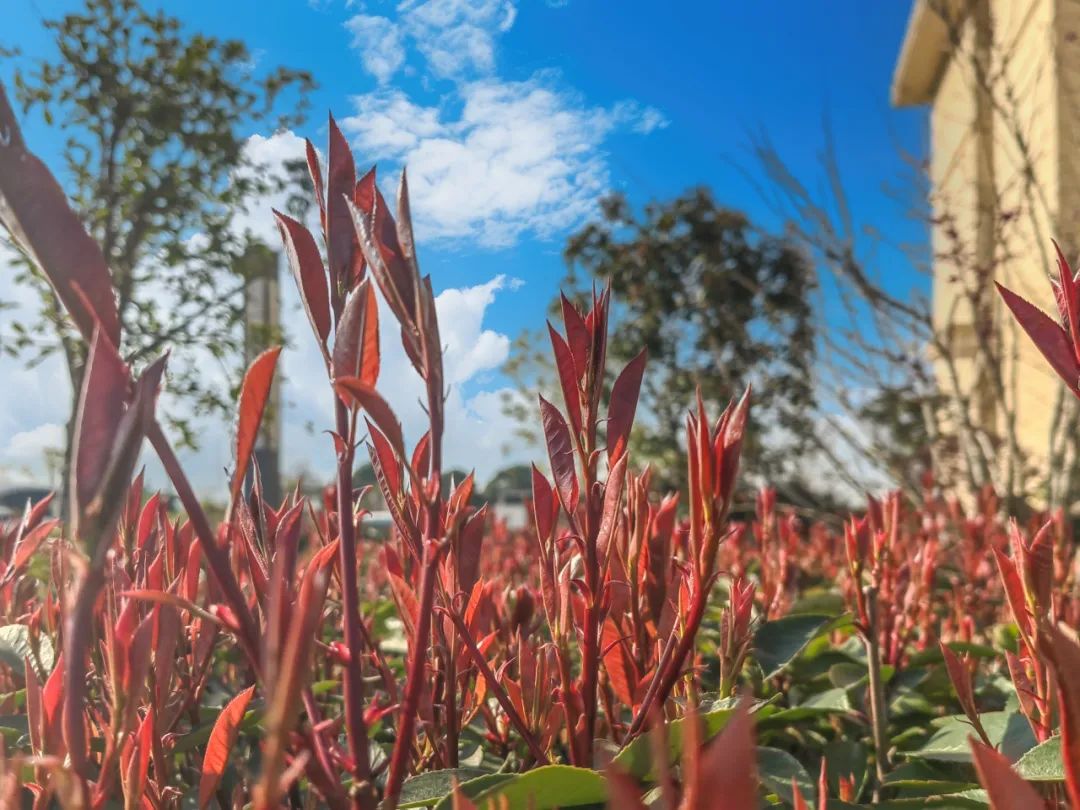 20250414093526601914