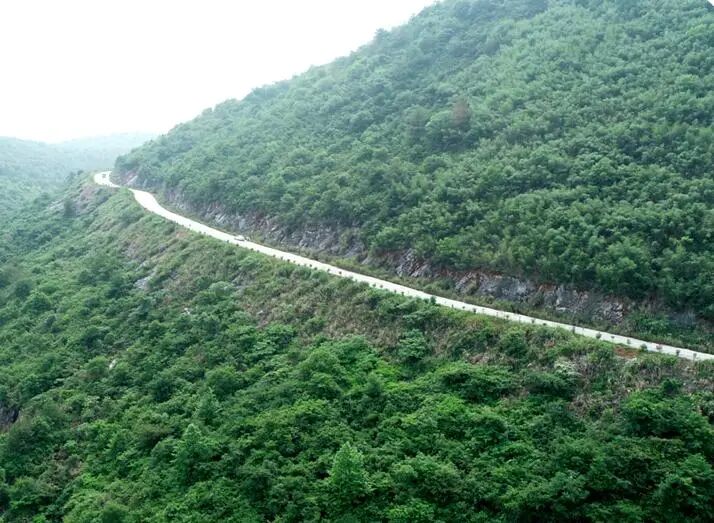 20251223094314206926